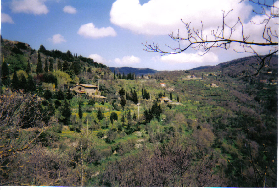 Local Environment 1