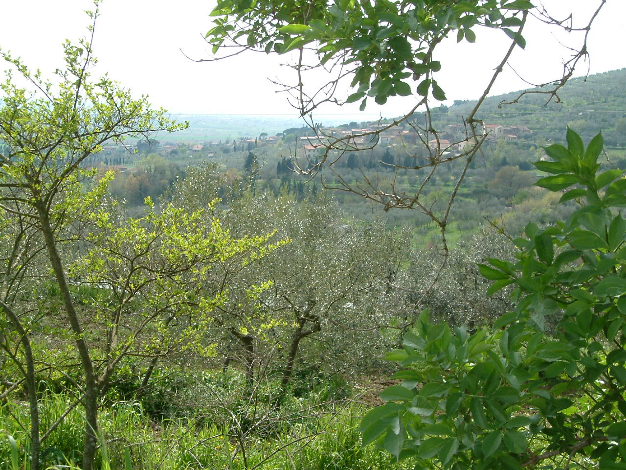 Local Environment 3