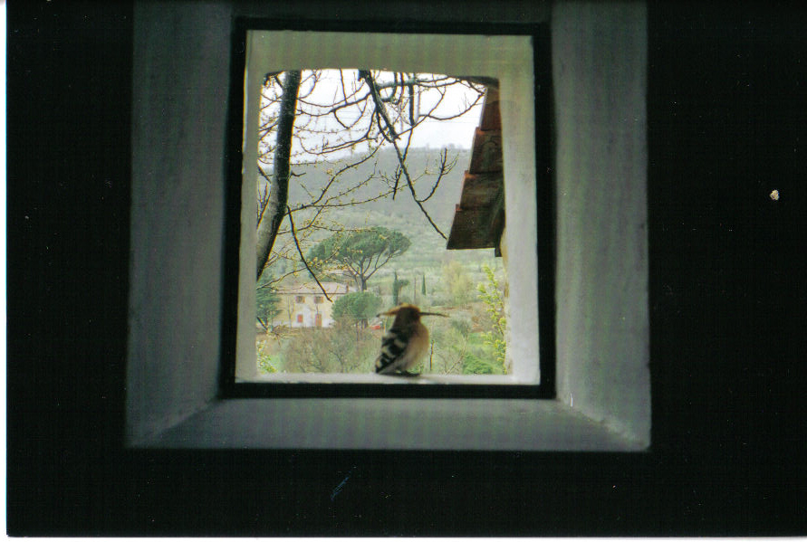 View outside house