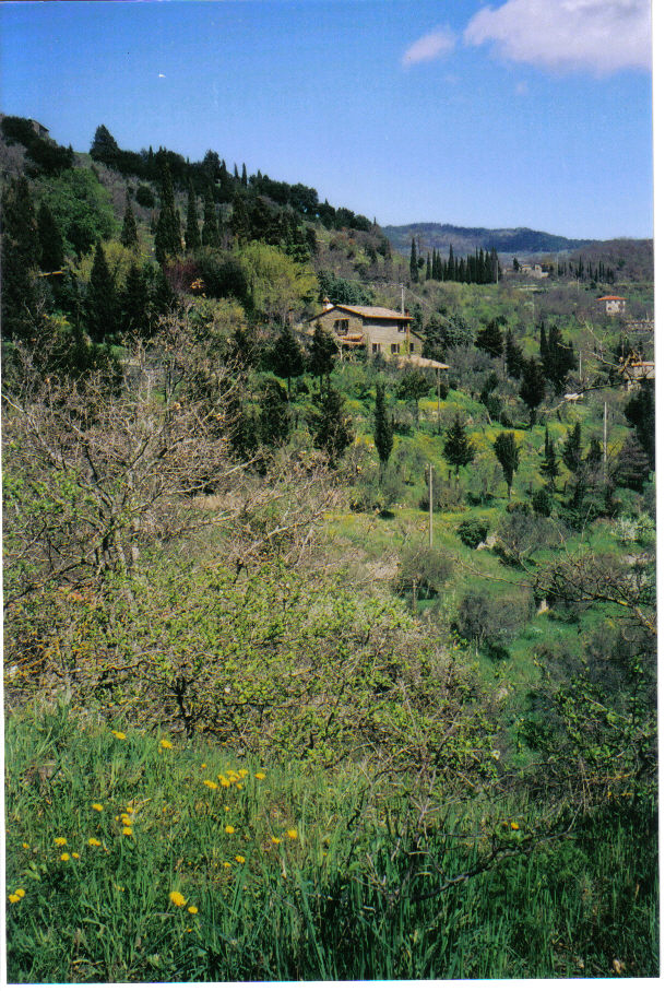 Local Environment 5