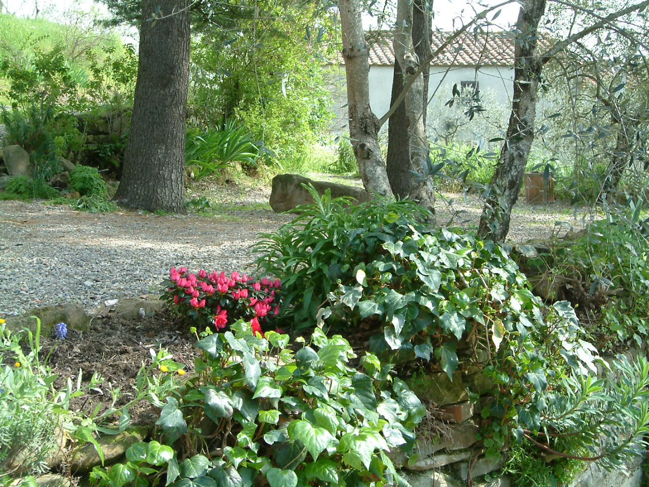 Outside of House 8