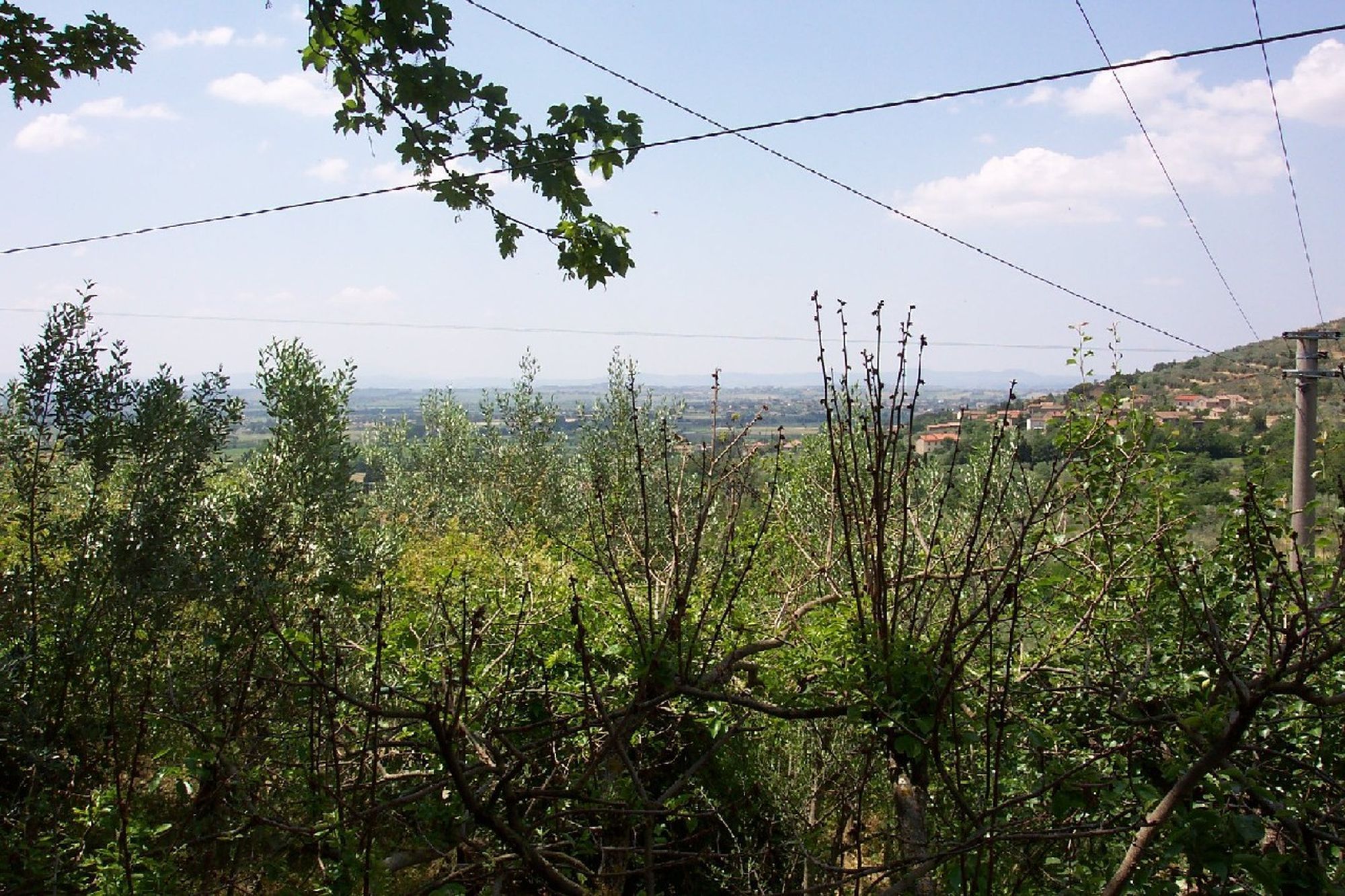 Local Environment 2
